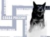 fox@fox