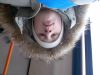 zna