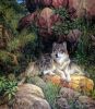 night_wolf!