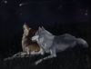 night_wolf!