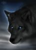 night_wolf!