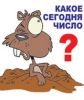 kisslink@