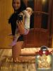 diankoo