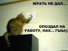 димид