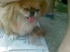 jerry