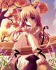 sakura_kio