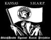 dropkick_murphys