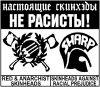 dropkick_murphys