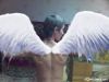 solar_wings.fly