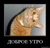 mir@nd@