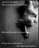i_alone