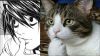 severys
