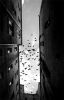 like