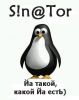 sinator