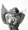 t@ntit@