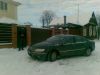 slim-gomel