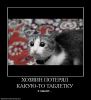 sapph1r