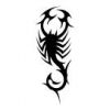 black-whitefront