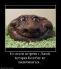 aleks11