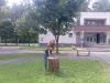 bysb_k@