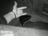 amatory-fan