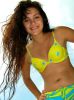 miledy