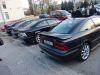 korol_calibra