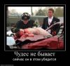 виталя_витамин