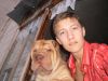 feniks
