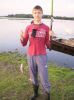 feniks
