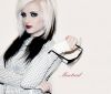 shelby__montreal
