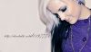 shelby__montreal