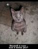 antochka@