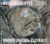 stalker-r-r