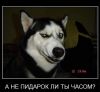 m@lenk@yawredin@