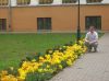 lavilas)))