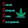 viktori@