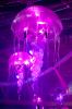 sensation