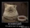 arizzi..)