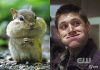 winchester_dean
