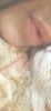 dikaya_koshka