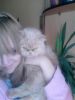 kittiarmstrong