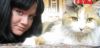 sunny_smile