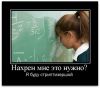 zin@