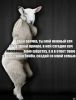 multisex