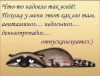 doz@psihoz@